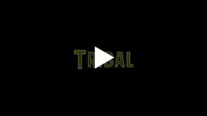 Spectacles de Danse Tribale